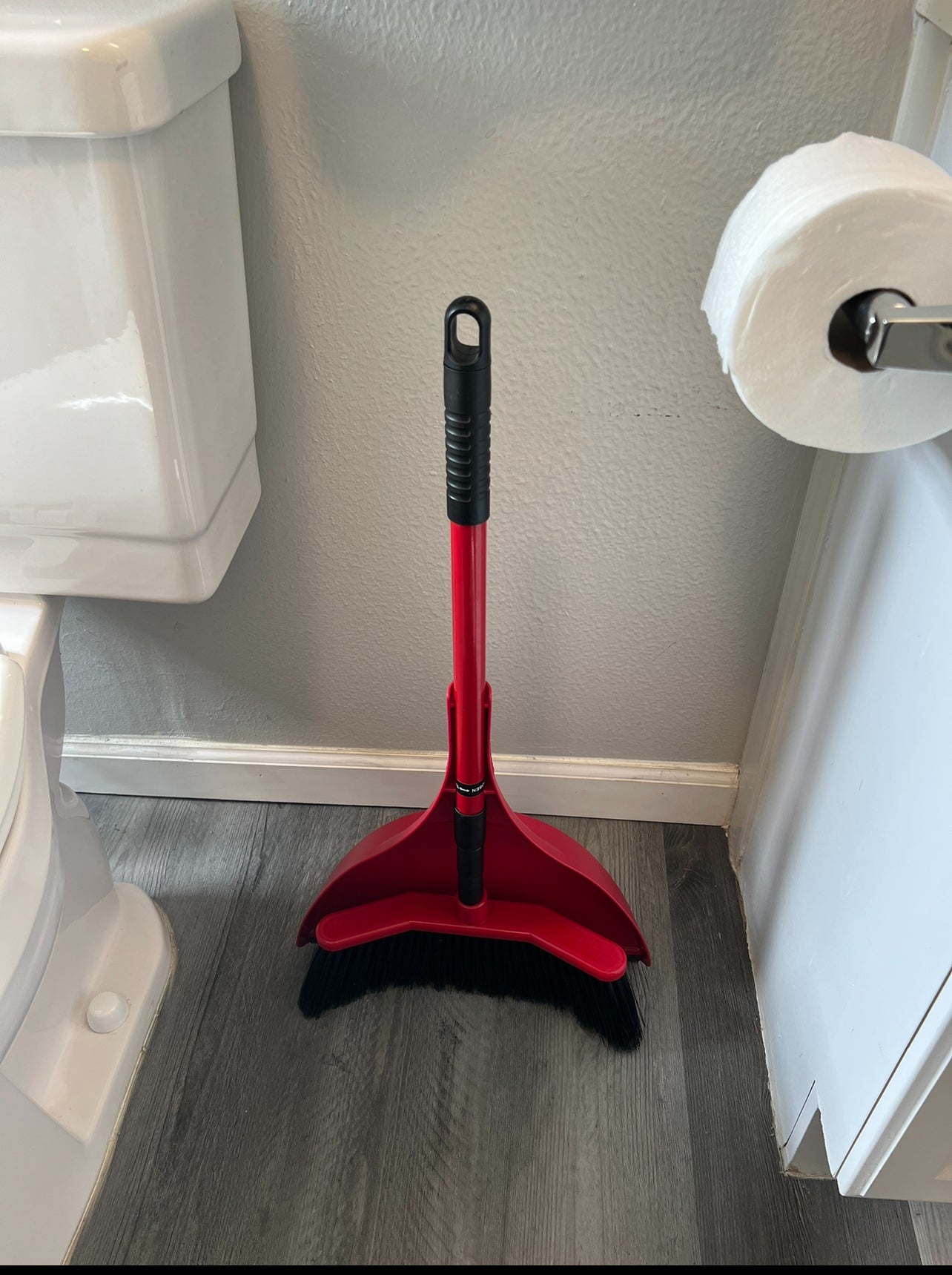 House broom with telescopic pole and custom dustpan